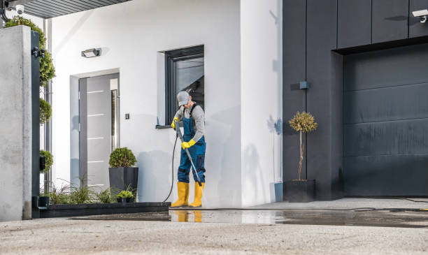 Best Soft Washing  in Pasco, WA
